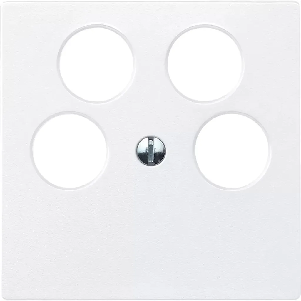Enjoliveur de Prise Merten Plaque Centrale PWS 295319 Blanc Brillant