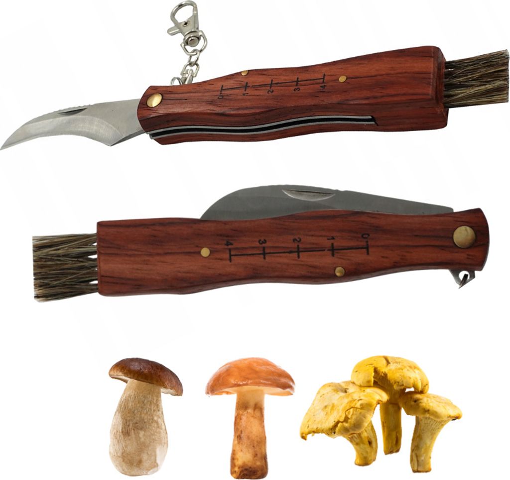 Couteau à champignons avec brosse et règle Couteau pliant Image du produit 