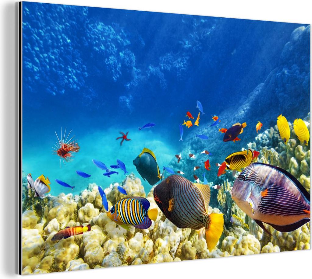 MuchoWow Wanddekoration Metall Metallbild Wandkunst 120x80 cm Meer - Fische - Korallen - Unterwasserwelt MuchoWow Aluminium Gemälde - Alu Bild