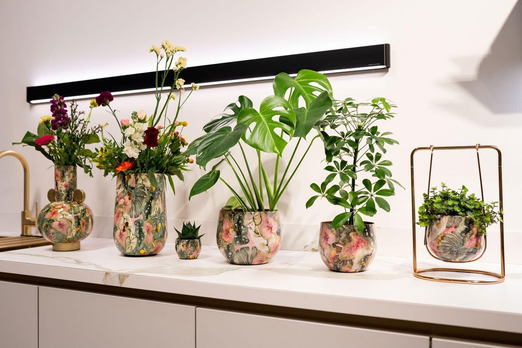 Ter Steege Blumentopf Monstera Mystery, Metall,