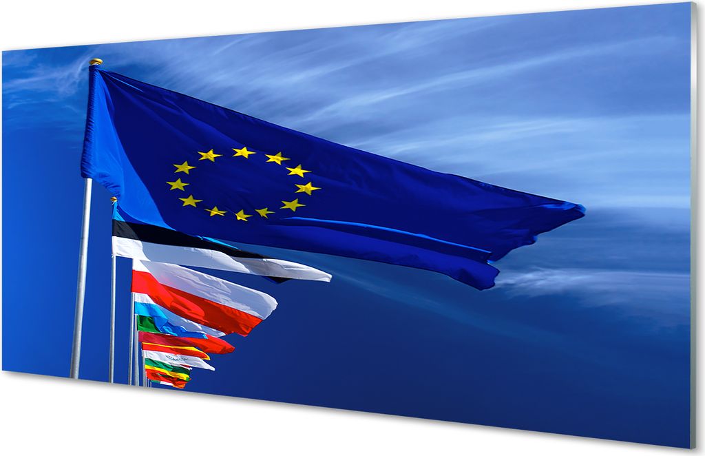 Spritzschutz 100x50 Wandkunst verschiedene Flags