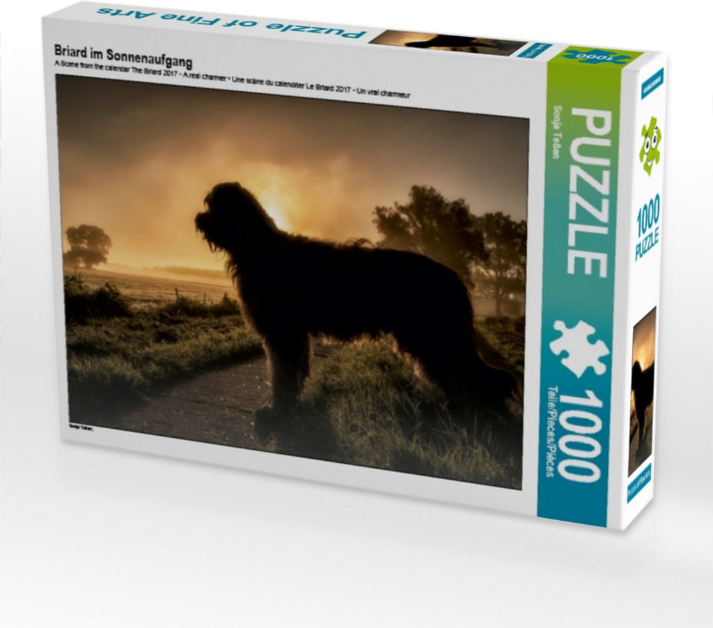 Calvendo Briard im Sonnenaufgang 1000 Teile Puzzle quer 640x480mm, Teßen Sonja; 7321314