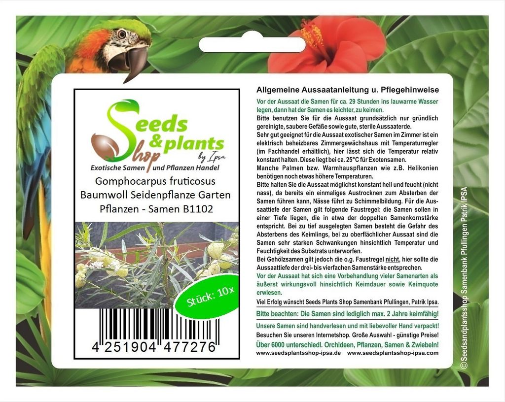 10x Gomphocarpus fruticosus Baumwoll Seidenpflanze Garten Pflanzen - Samen B1102
