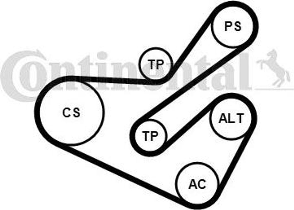 CONTINENTAL CTAM 6PK1740K1 Keilrippenriemensatz OE 1613844680 kompatibel mit Partner, Expert, 807, 806, 406, 206, Zeta, Phedra, Ulysse, Scudo, Xsar...