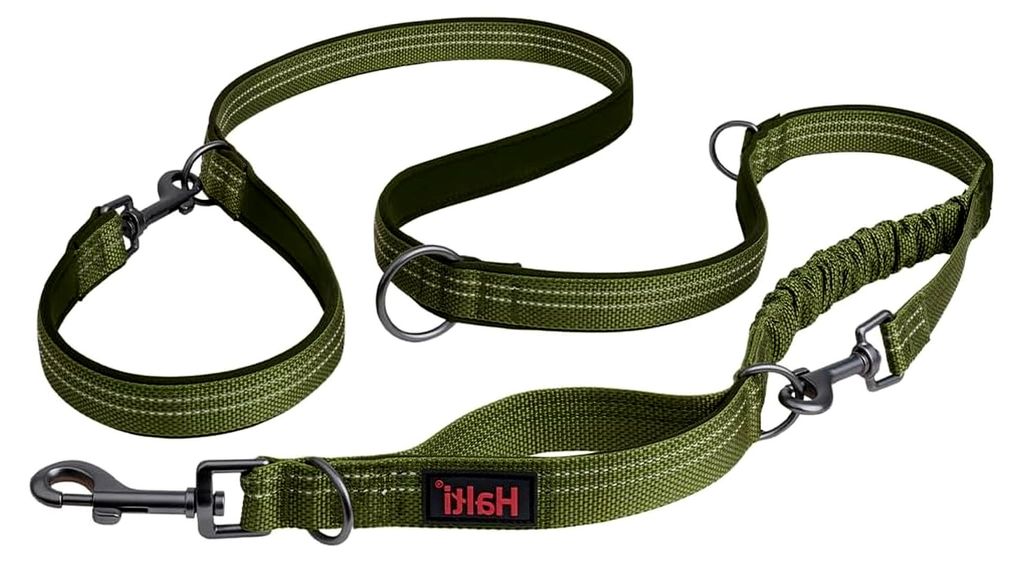 Anatomie Multifunktionsleine – Doppelführleine mit zwei Karabinern und Ruckdämpfer, geeignet für Gassigehen und Hundetraining. Reflektierend u...
