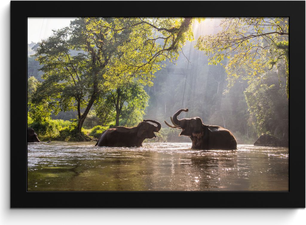 MuchoWow MuchoWow Gerahmtes Poster Elefant - Wasser - Tiere - Bäume - Sonne 30x20 cm - Poster mit zchwarzem Bilderrahmen - Kunstdruck - Bild-P...