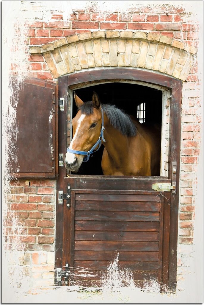 Kunstdrucke Wandbilder Holz in : Brillante Farben, Größe 60 x 90 cm Motiv Pferd im Stall