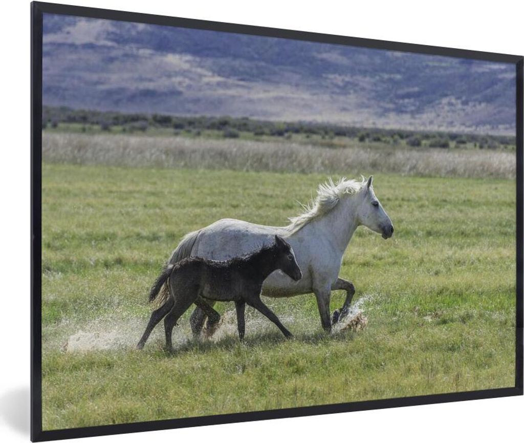 MuchoWow MuchoWow Gerahmtes Poster Pferde - Fohlen - Braun 90x60 cm - Poster mit zchwarzem Bilderrahmen - Fotorahmen - Foto-Plakat