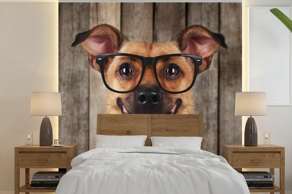 MuchoWow Fototapete für Wohnzimmer oder Schlafzimmer Wandtapete Vinyl Motivtapete Hund - Brille - Bluse - Hipster - 280x280 cm - Hintergrundbild