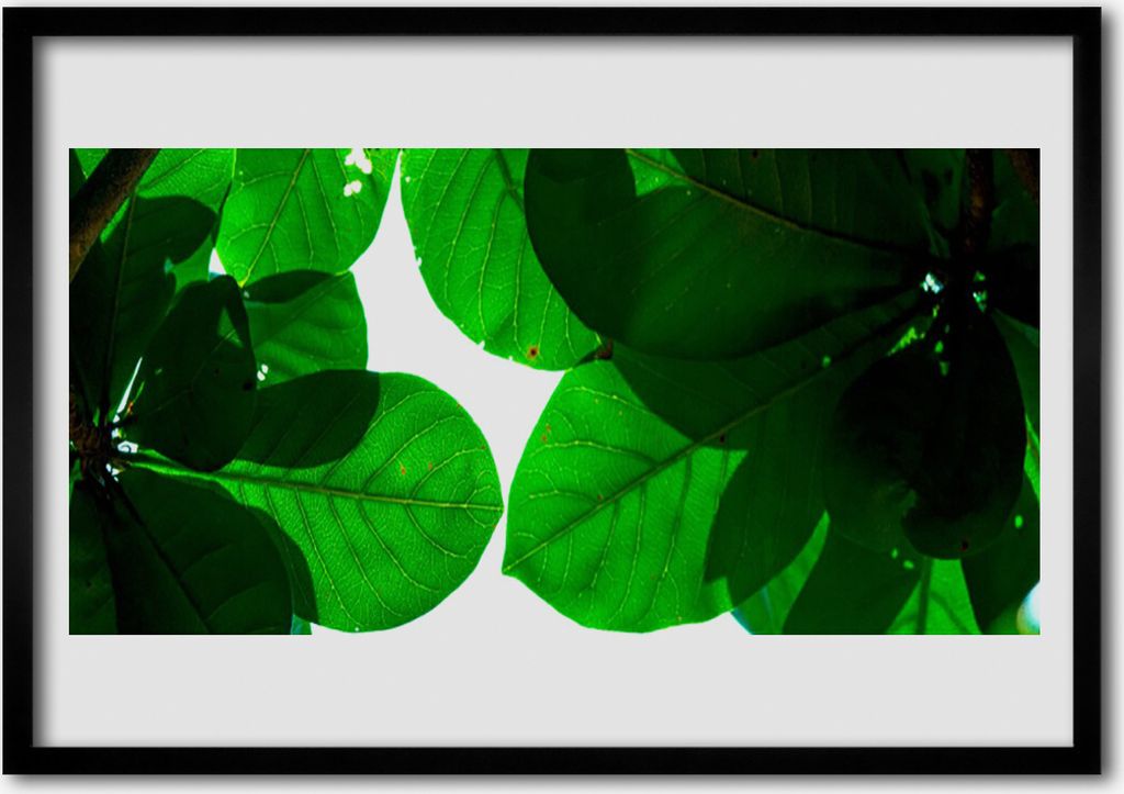 Bild 70x50 MDF-Rahmen Wandkunst Blätter auf Wand