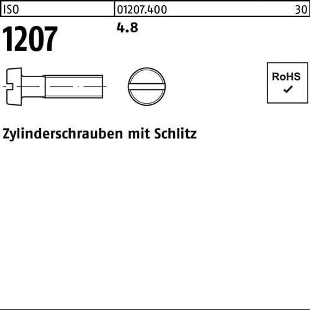Reyher Zylinderschrauben ISO 1207 4.8 M 3 x 22 (2000 Stück)