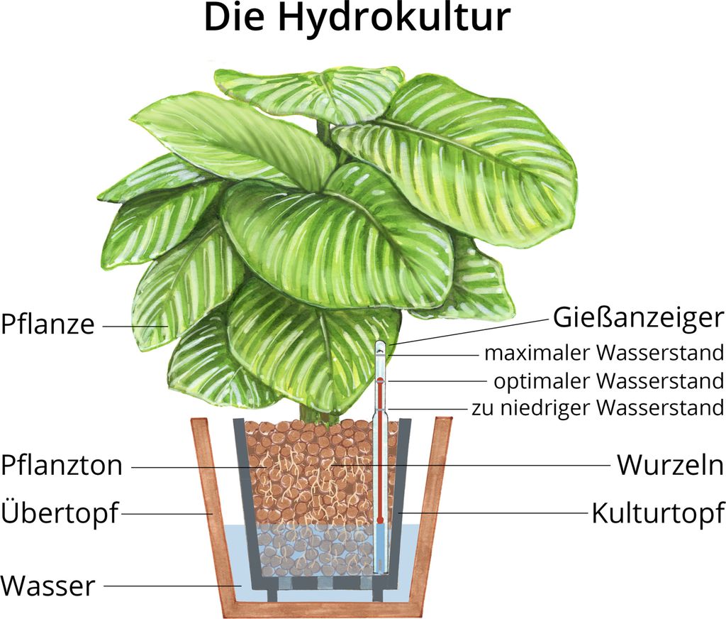 Dehner Blähton, 10 l, Körnung 8/16 mm Blumenerde
