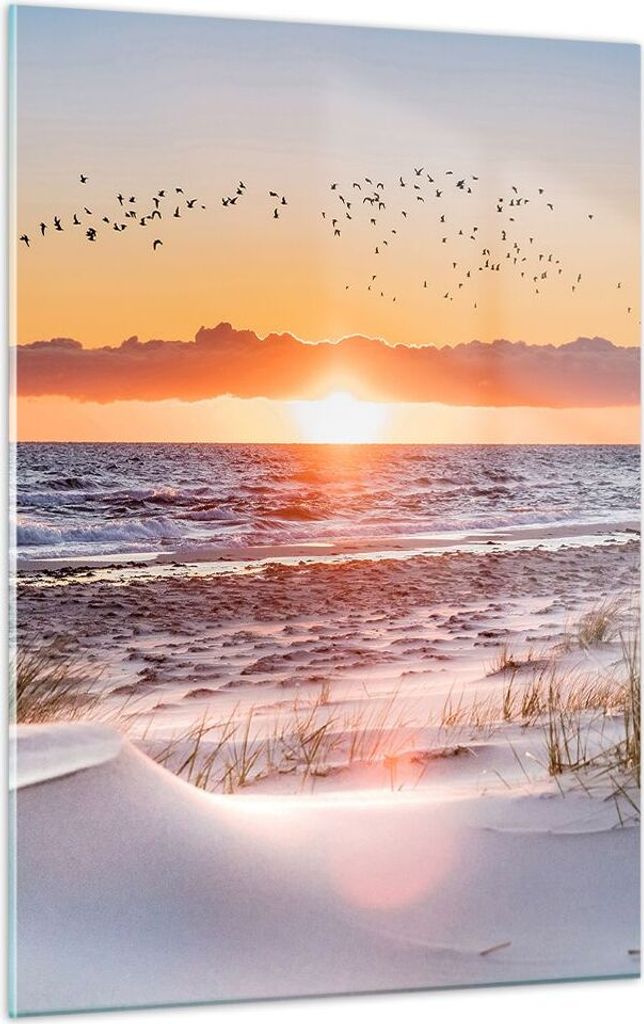 Bilder auf glas - Einteilig - Sonne Strand Vögel - 50x70cm Produktbild 