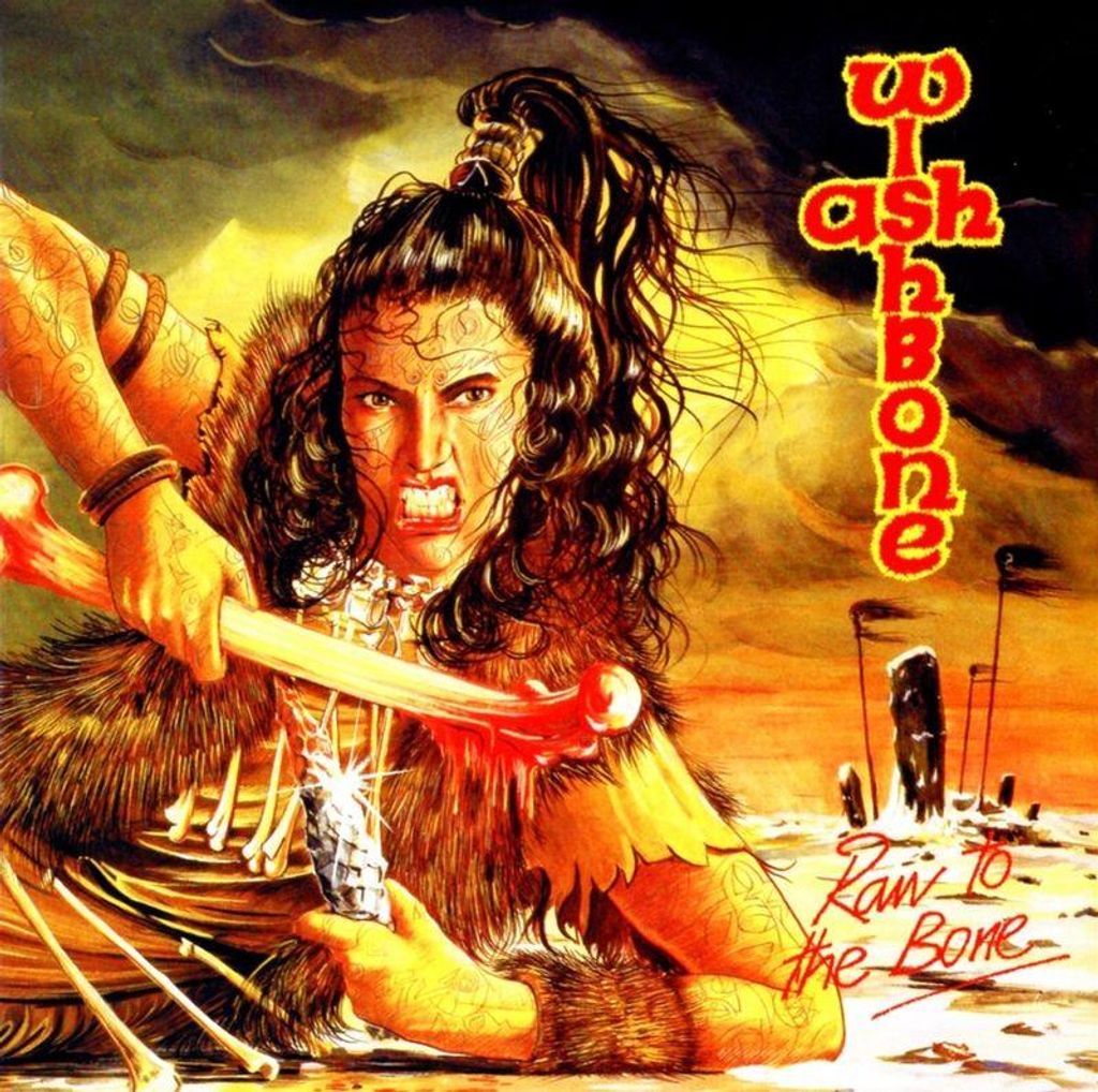 Wishbone Ash - Raw to the Bone CD