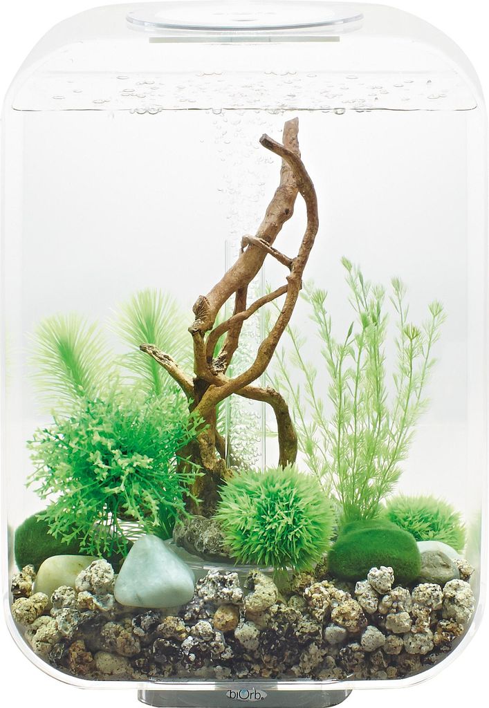 15-liter-aquarium mit transparenter led-beleuchtung Oase LIFE 15 LED TRANSPARENT