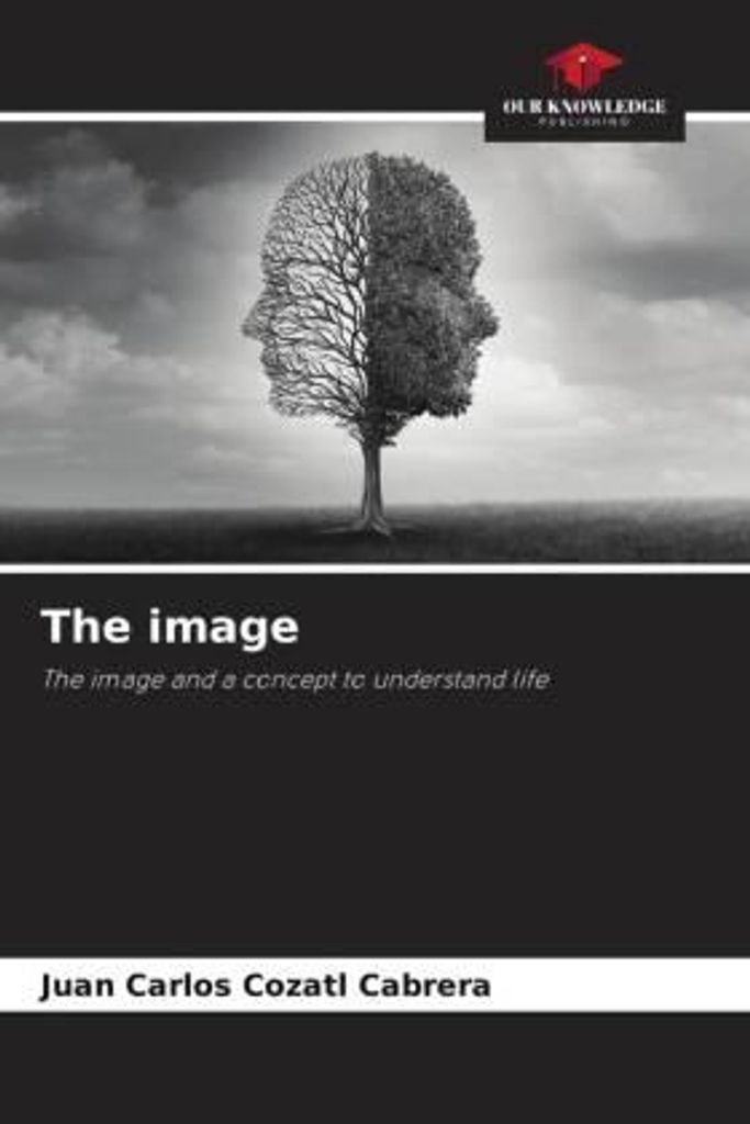 The image