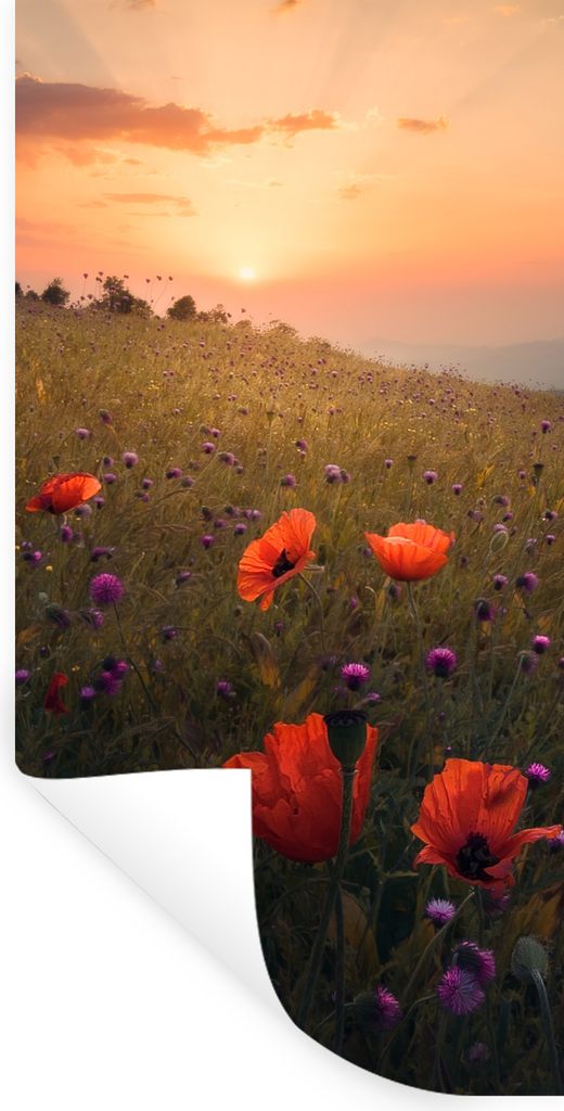 MuchoWow Wandtattoo Wandsticker Wandaufkleber Blumenfeld - Gras - Pflanzen - Sonnenuntergang - Orange 60x120 cm Selbstklebend und Repositionierba...