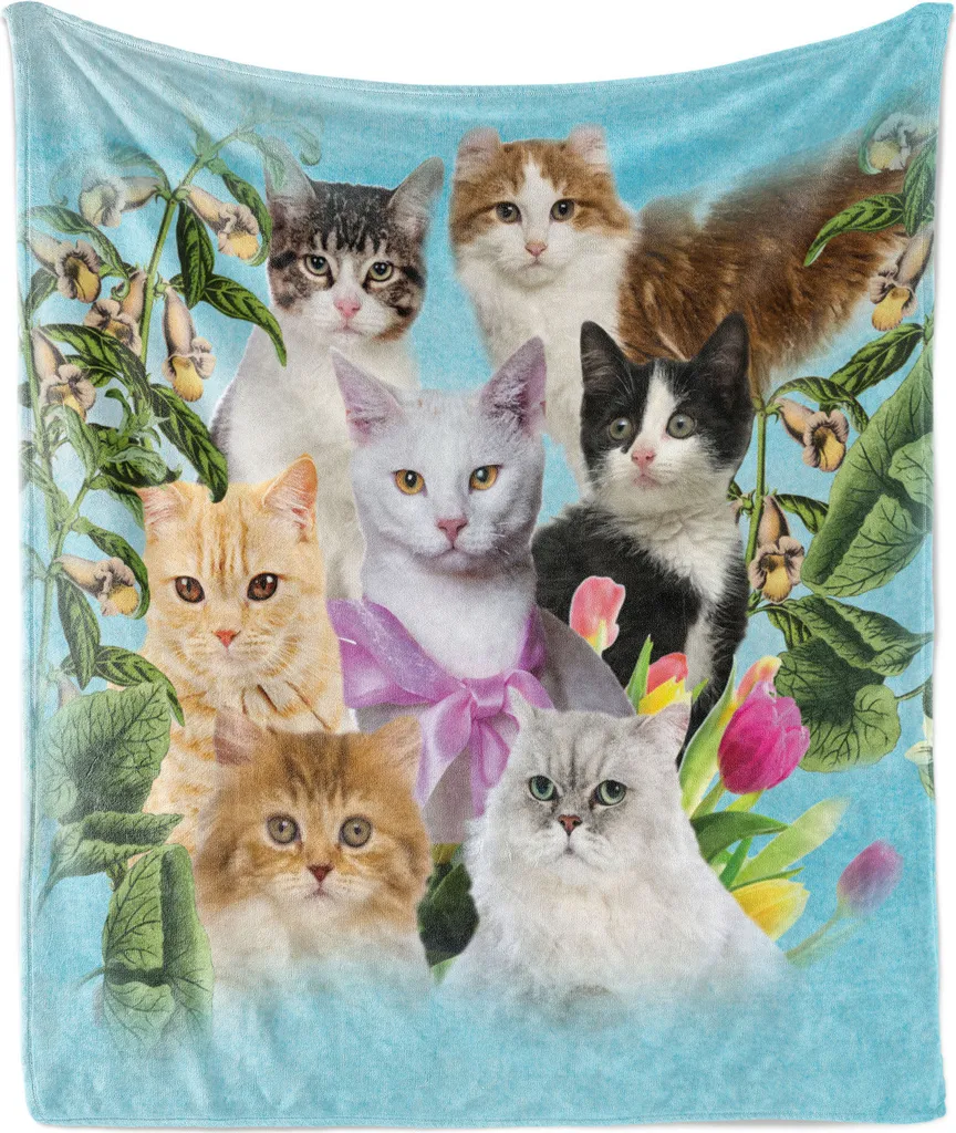 Regalo Amanti Gatti: Coperta Morbida ABAKUHAUS 125x175 cm Multicolore