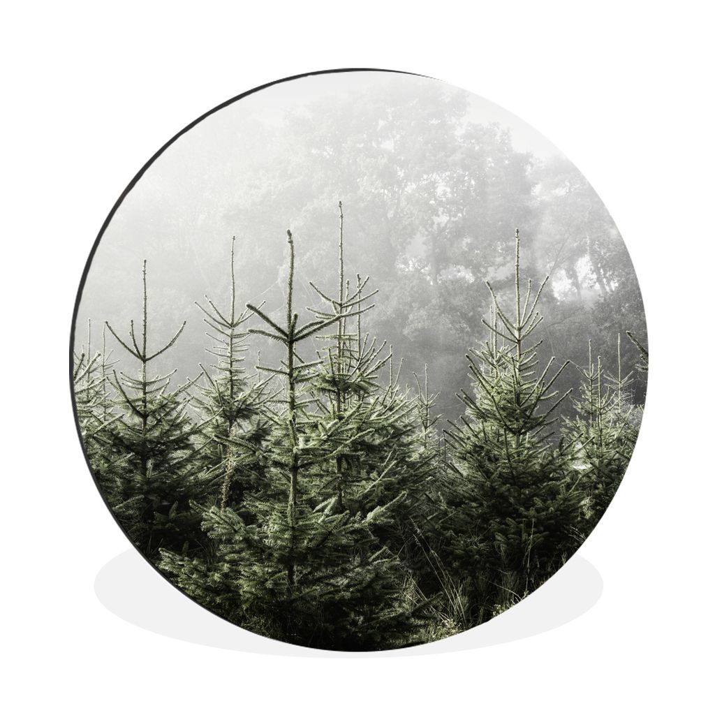 MuchoWow Aluminium Wandkreis Nebel um einige Kiefern Ø 30 cm Wanddeko Modern Wohnzimmer - Wand Bild - Wohnzimmer - Runde Bilder - Alubilder - Ku...
