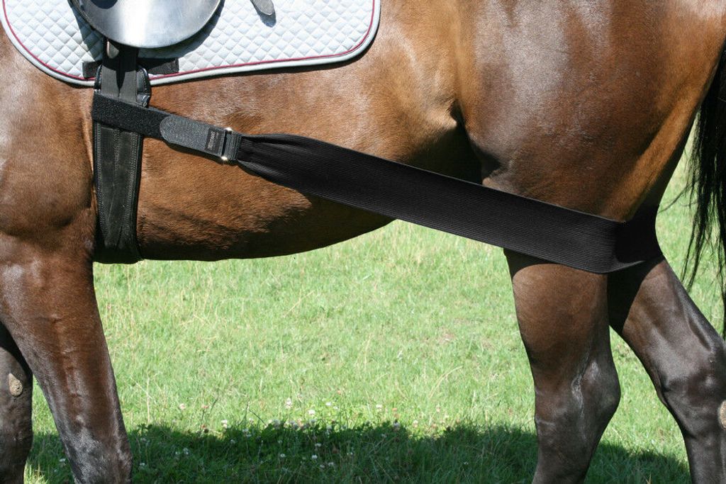 EQuest Körper Bandage Hinterhand Pferd, Größe:COB