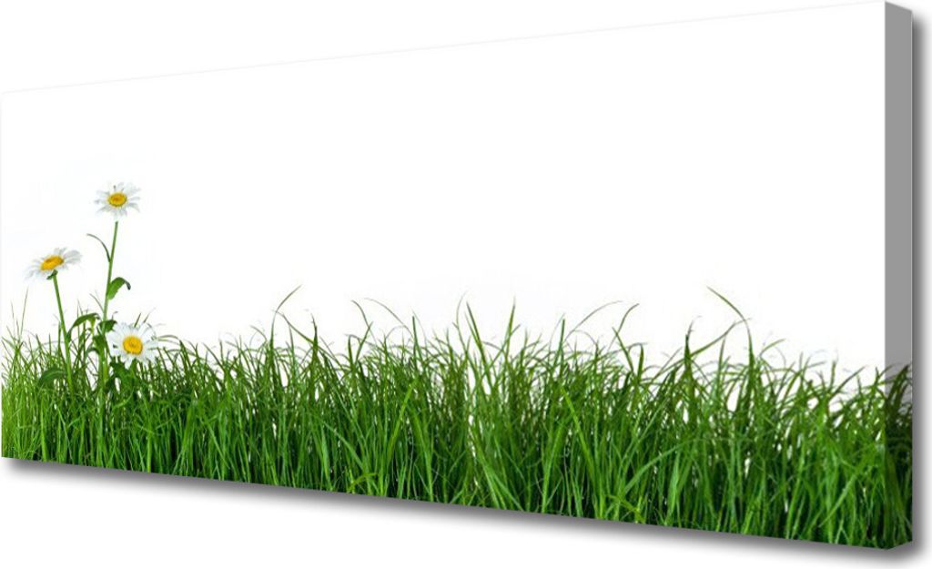 Tulup Leinwand-Bilder 125x50 Wandbild Canvas Kunstdruck Gras Natur