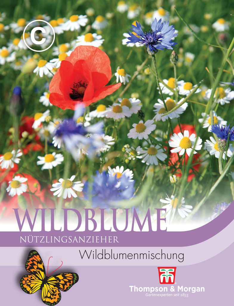 Wildblume Blumenmischung | Wildblumenwiese von Thompson & Morgan