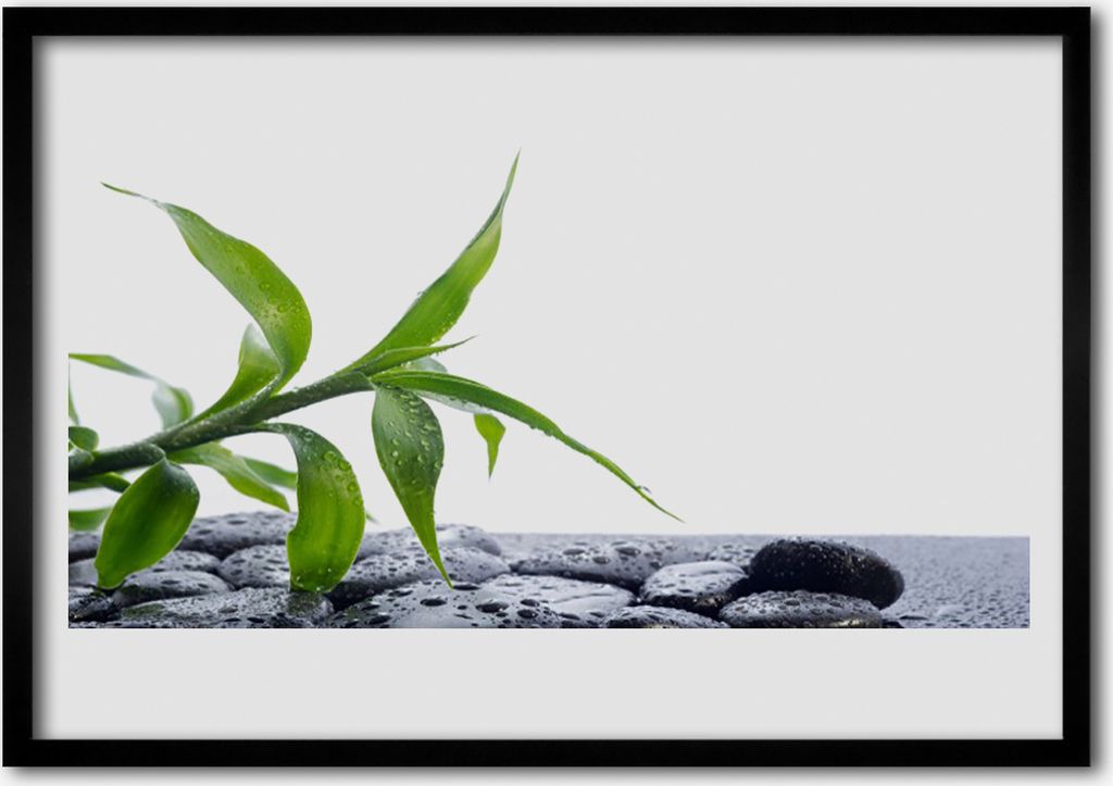 Bild 70x50 MDF-Rahmen Wandkunst Blatt Natur Pflanze Steine