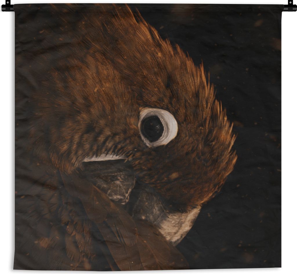 MuchoWow Wandteppich Wandbehang Papagei - Orange - Schwarz 150x150 cm Tapisserie Dekoration Wandtuch - Wohnaccessoires - Modernes