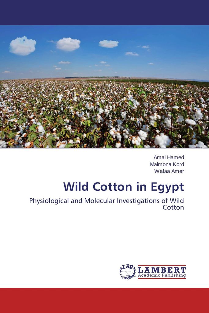 Wild Baumwolle in Egypt