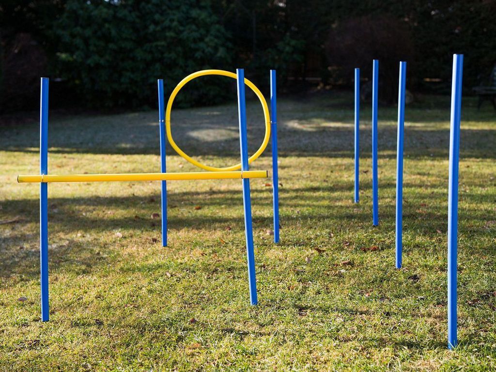 Hundetrainingsset, Slalom-Stangen, Hürde und Ring, Agility Produktbild 1