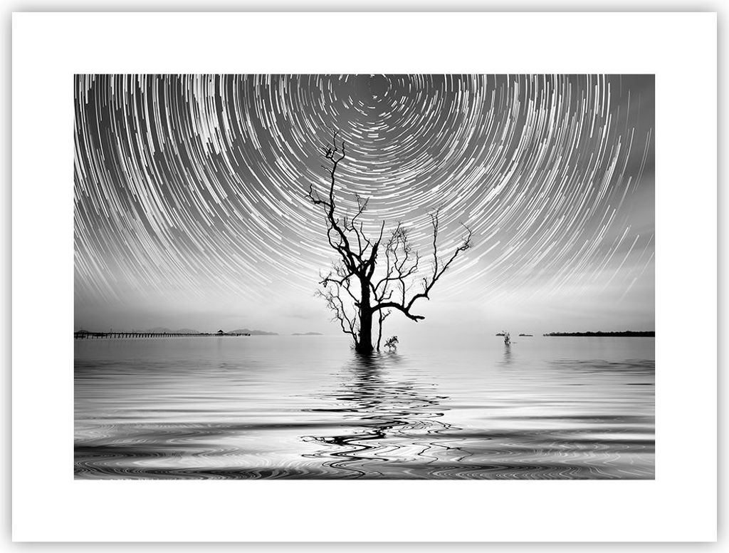 Poster - Poster ohne Rahmen - Schwarzweiß Baum See - 40x30 cm - Wand Bild - Wanddeko - Wandbilder - Kunstposter - Wandposter - Bilder - Kunstdruck...