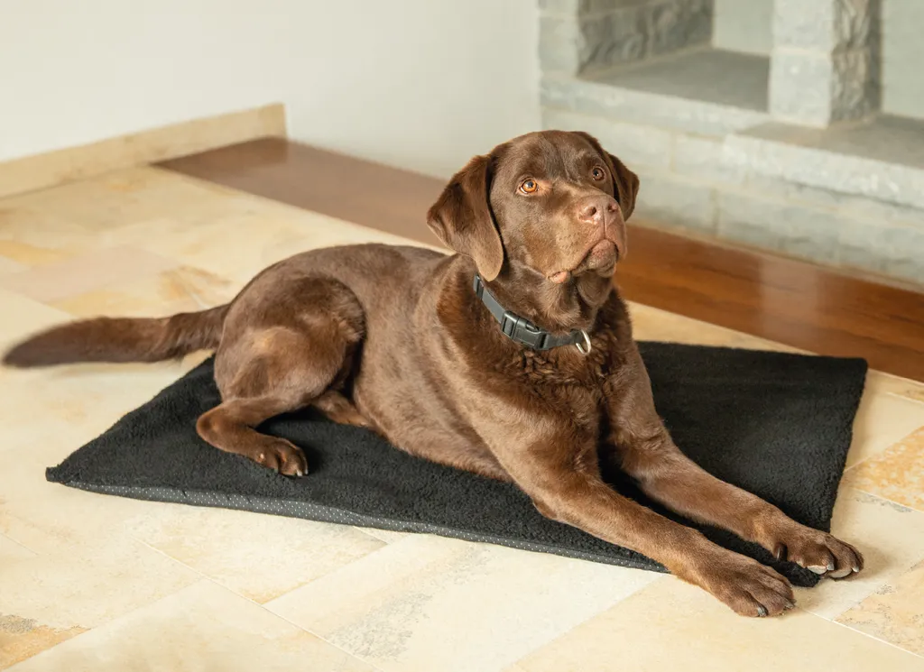 Coperta Autoriscaldante per Cani e Gatti Senior - Salute e Calore 70x100