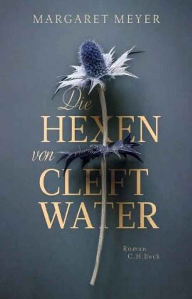 Die Hexen von Cleftwater Format Relié avec Détails de Couverture Or