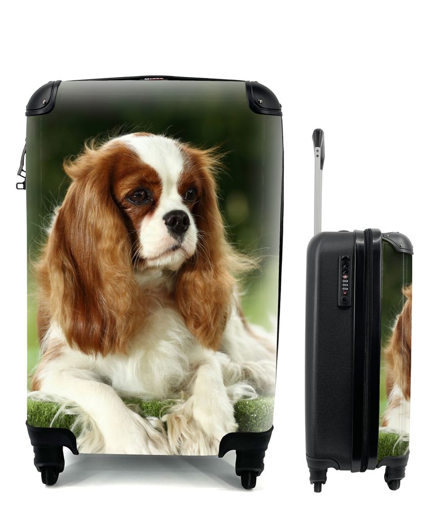 MuchoWow Koffer Handgepäck Trolley Rollkoffer Kleine Reisekoffer mit 4 Rollen - Porträt eines Cavalier King Charles Spaniels - Cabin Size < 55x...