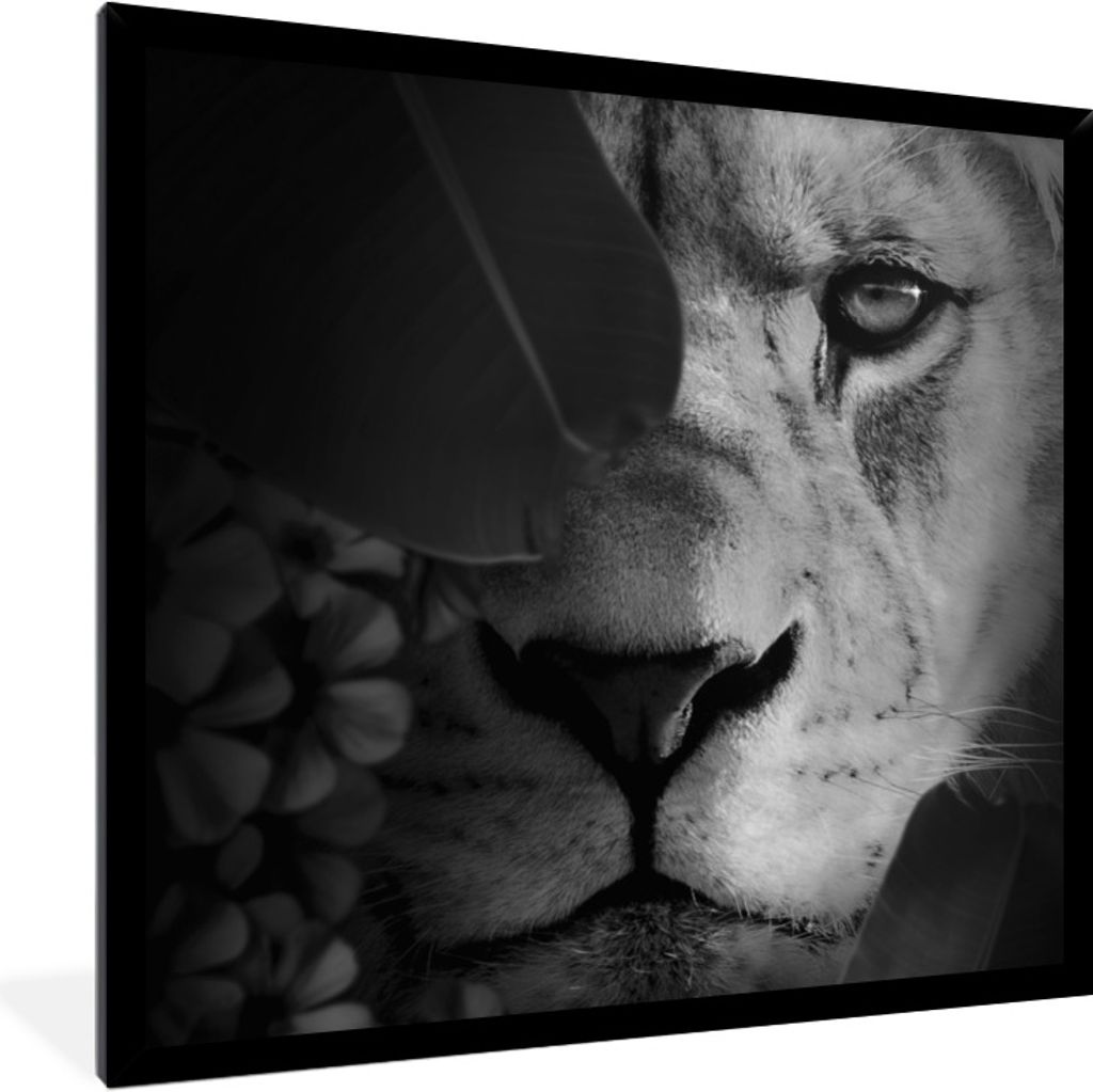 MuchoWow Gerahmtes Poster Pflanzen - Dschungel - Löwe - Schwarz - Weiß 40x40 cm - Poster mit Schwarzem Bilderrahmen Wandposter Rahmen Foto Bild...