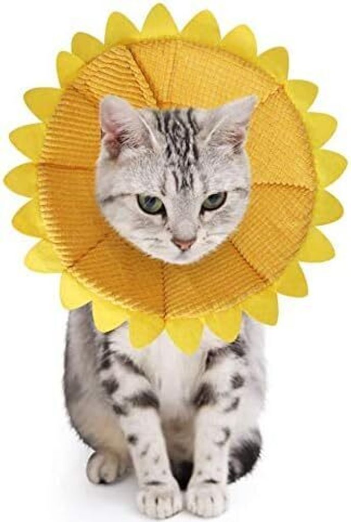 Halskrausen für Hunde Katze,Bequem Weich Recovery Schutz für Haustier Nackenschutz Kissen und Verstellbarer Kragen mit Gelbem Sonnenblumenmuster (S)