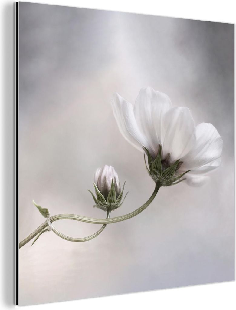 MuchoWow Wanddekoration Metall Metallbild Wandkunst 50x50 cm Blumen - Stillleben - Natur - Grau MuchoWow Aluminium Gemälde - Alubild - Industrial