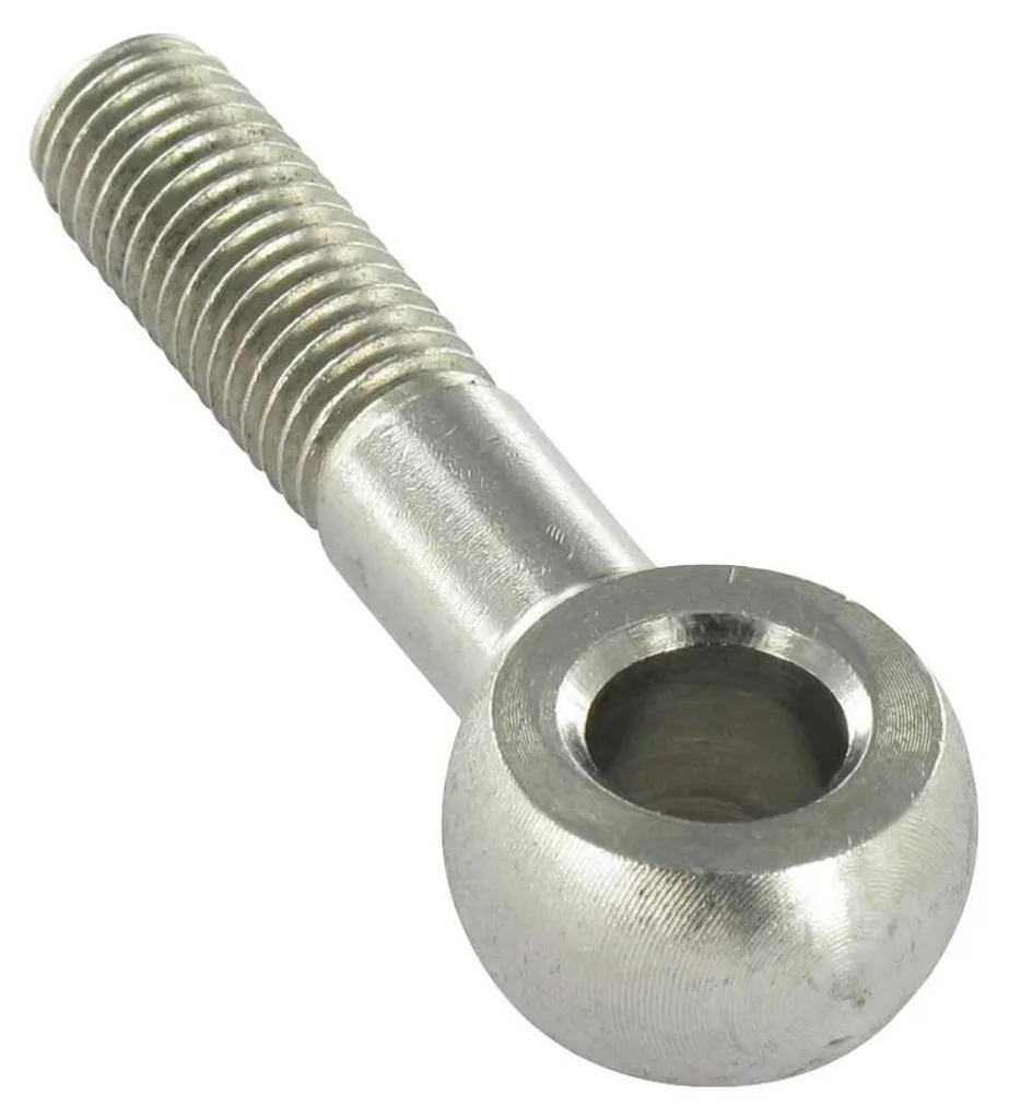 Vis à Oeil Inox A2 10x100mm DIN 444 B Résistant à la Corrosion Lot de 25