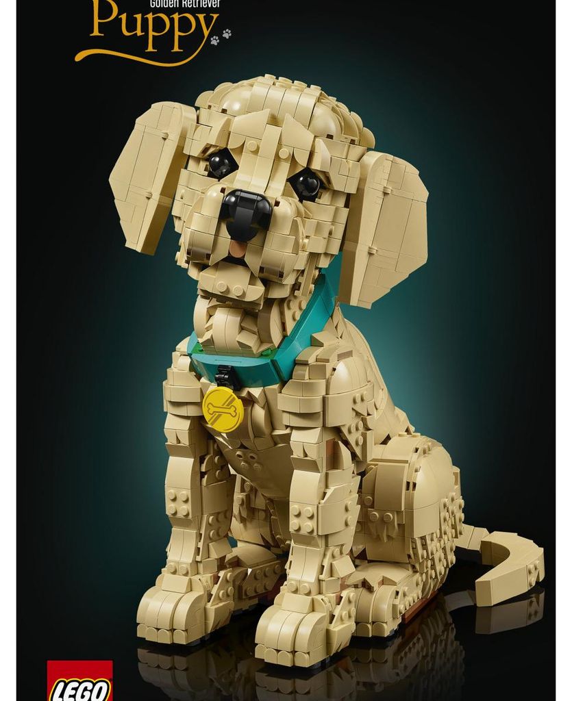 LEGO ICONS 11384 Golden Retriever Puppy Immagine del prodotto 