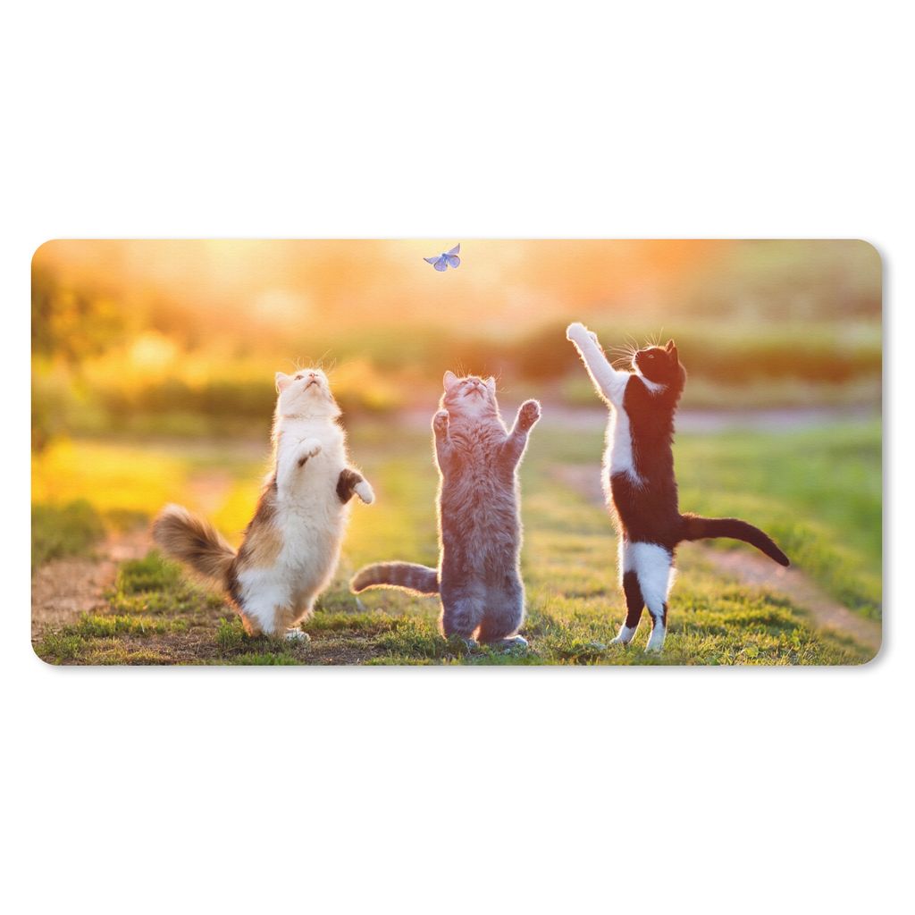 MuchoWow Schreibtischunterlage Katzen - Schmetterling - Sonnenuntergang - Gras - Natur 80x40 cm - XXL Mauspad - Gaming Mauspad