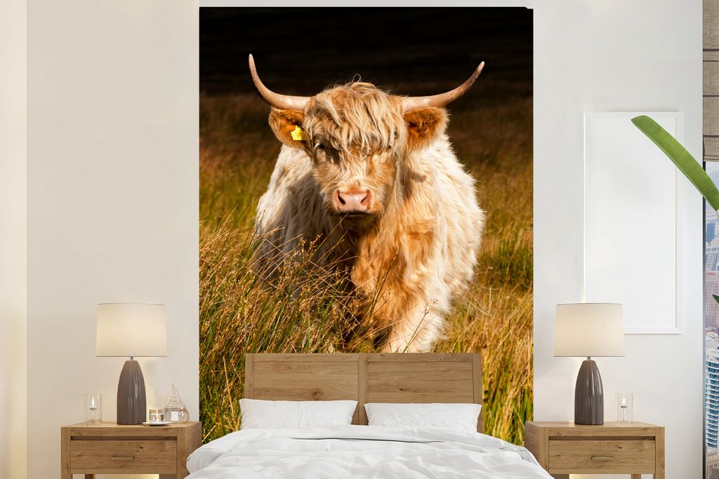 MuchoWow Fototapete für Wohnzimmer oder Schlafzimmer Wandtapete Vinyl Motivtapete Schottische Highlander - Licht - Gras - Tiere - 200x300 cm - W...