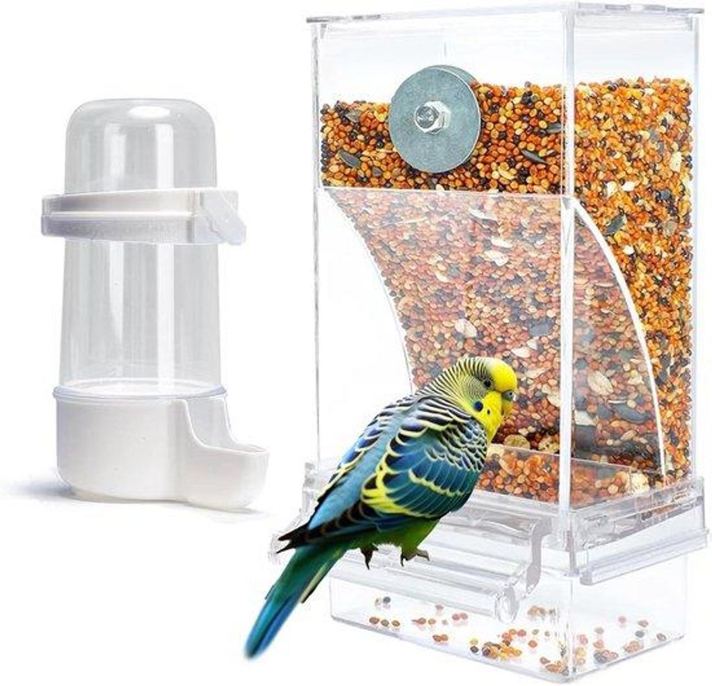Automatische Vogelfutterautomat aus Acryl