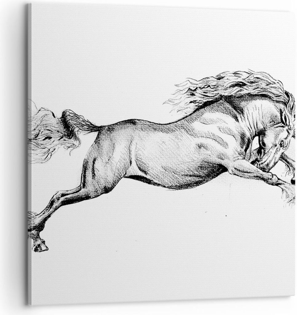 Bild auf Leinwand - Leinwandbild - Einteilig - Pferd Zeichnung Bleistift - 60x60cm - Wand Bild - Wanddeko - Wandbilder - Leinwanddruck - Bilder - W...