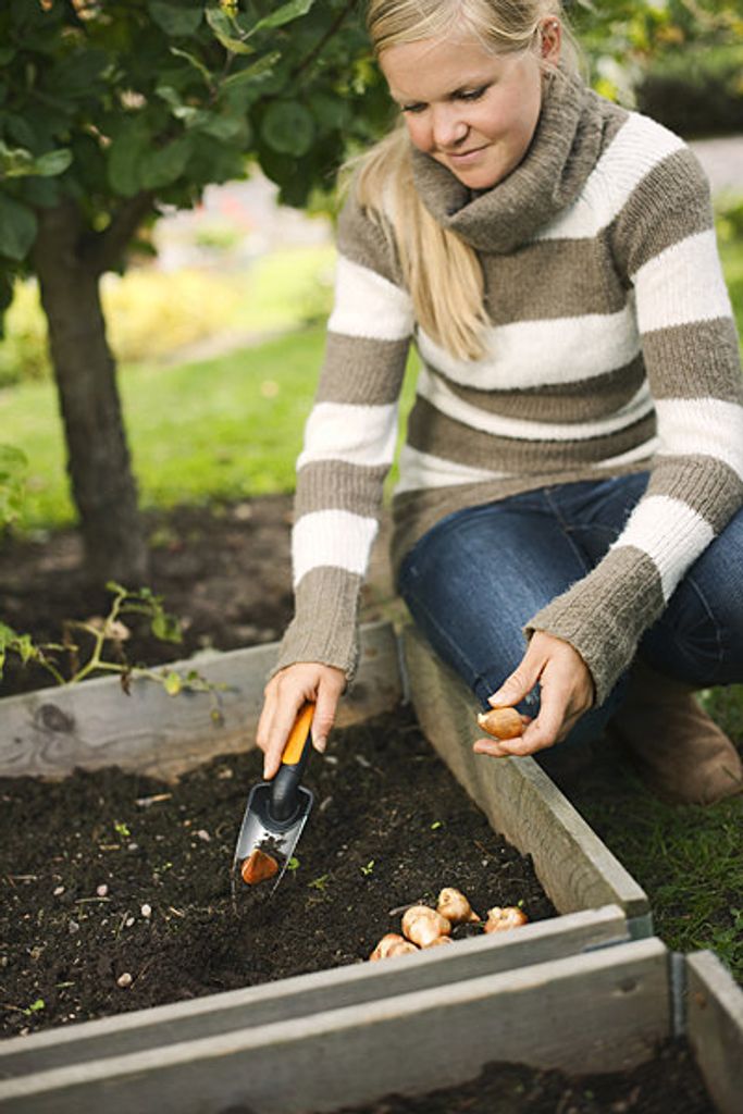Fiskars louche à planter Premium Image du produit 