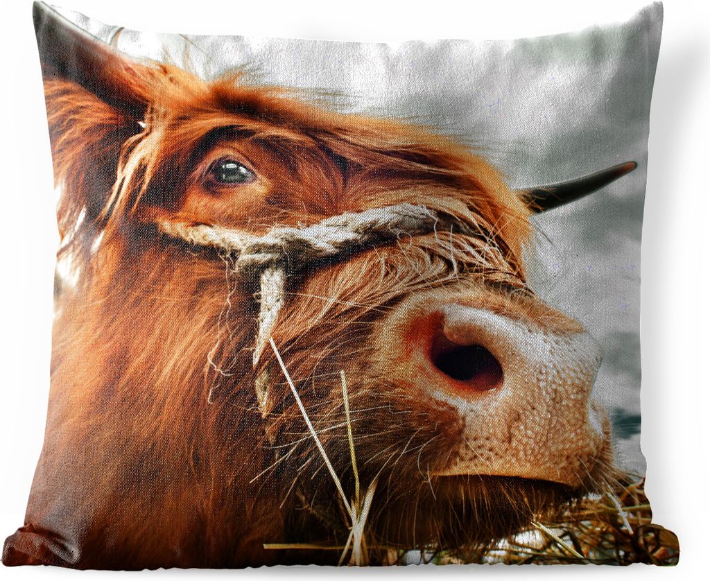 MuchoWow® Outdoor Kissen - Schottisches Hochlandrind - Kopf Produktbild 