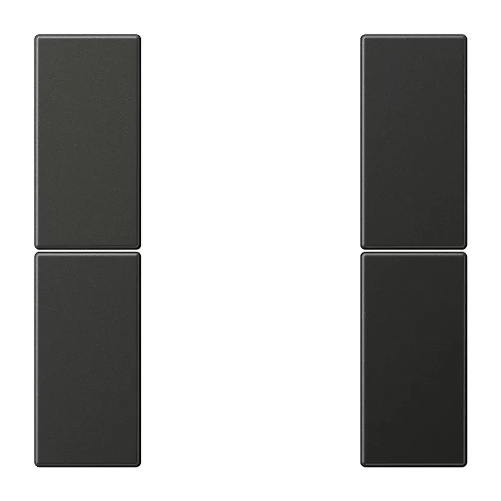 Touches de remplacement anthracite pour Jung F50 Série LS double alu