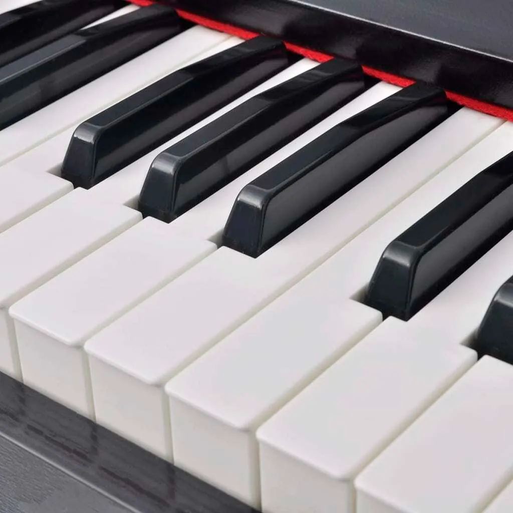 Piano Numérique 88 Touches Noir vidaXL pour Jouer sans Encombrement - 2