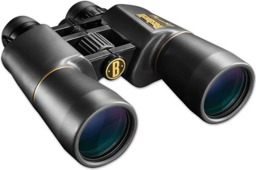 A pair of black Bushnell binoculars with gold accents, shown against a white background.