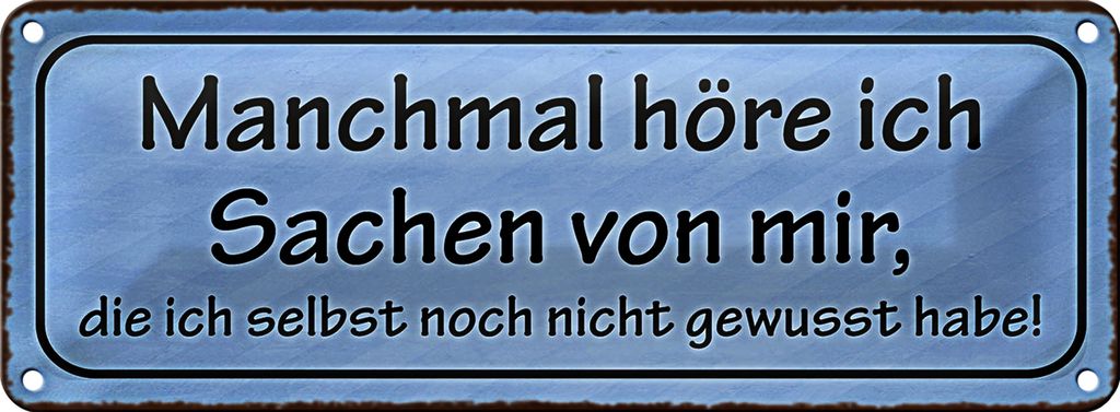 Blechschild Spruch 27x10cm manchmal höre ich Sachen von mir Dekoration