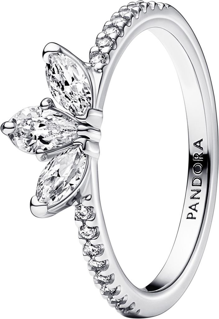 Pandora Anillo Timeless 192392C01-56 Herbario Produktbild 